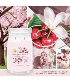 Yankee Candle Pink Cherry Vanilla Duftkerze -Pflegeprodukte Angebote yankee candle pink cherry vanilla duftkerze 567 g 5038581128818 visual2